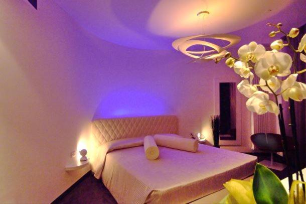 Design Suite Tirano Luaran gambar